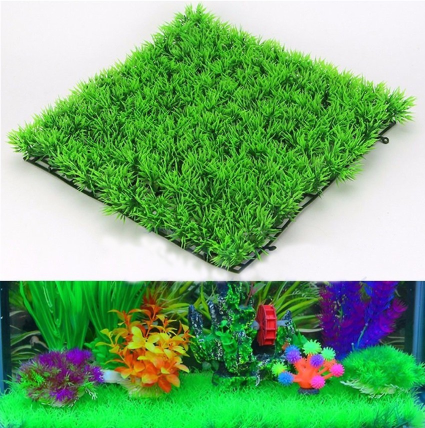 Tanaman Rumput Hijau Buatan Ru - Terrarium Moss Art ulasan dan harga