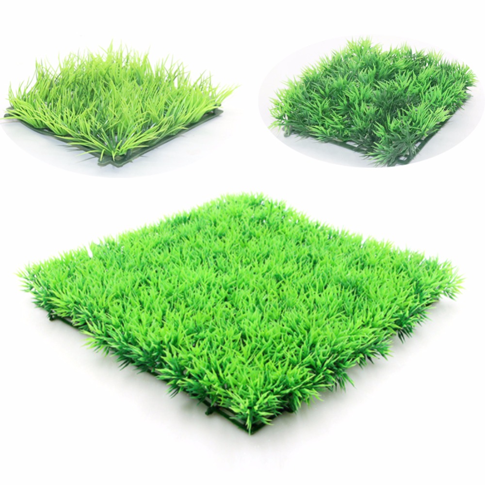 Tanaman Rumput Hijau Buatan Ru - Terrarium Moss Art ulasan dan harga