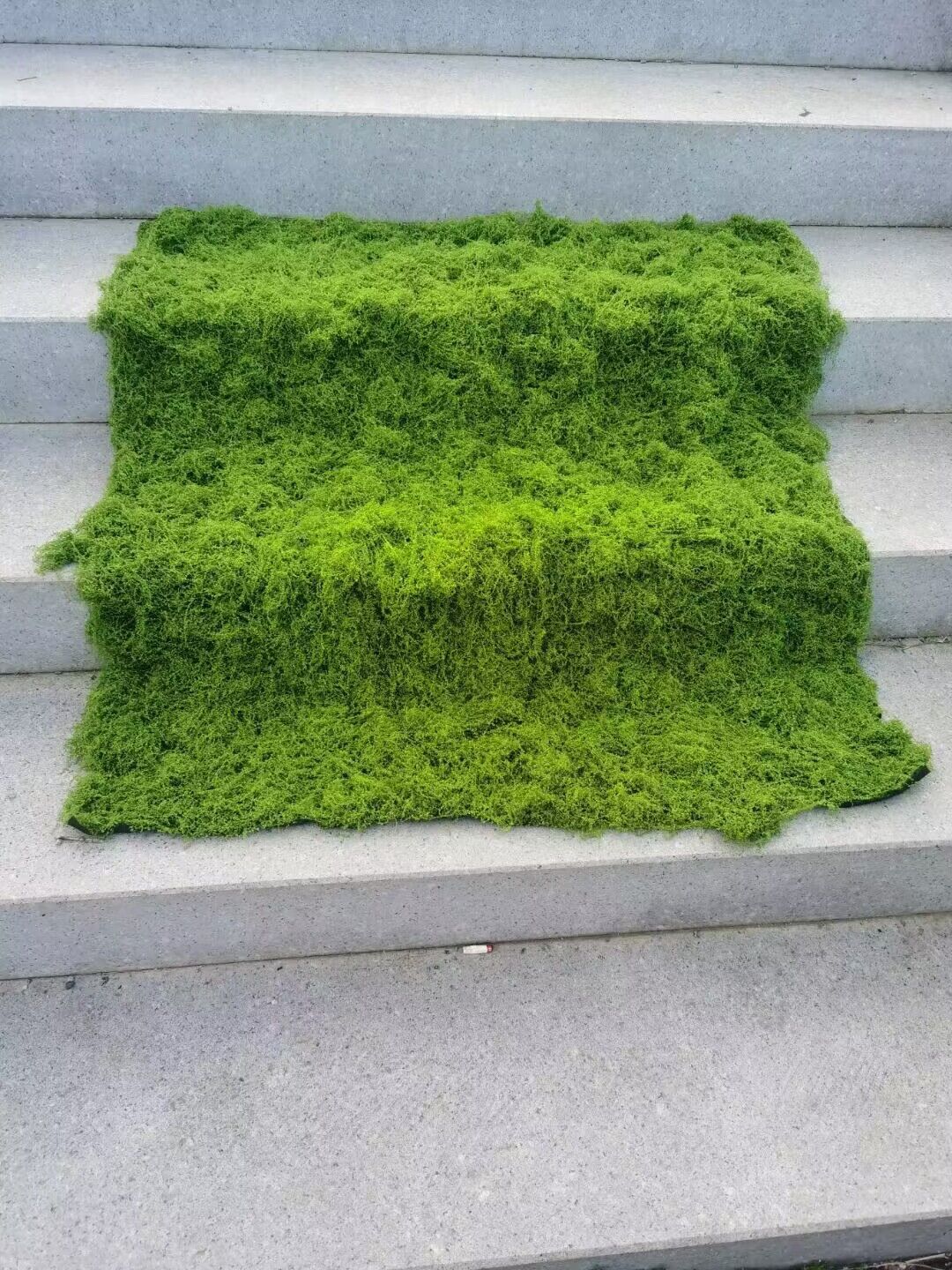 Aqumotic rumput tiruan lumut b - Terrarium Moss Art ulasan dan harga