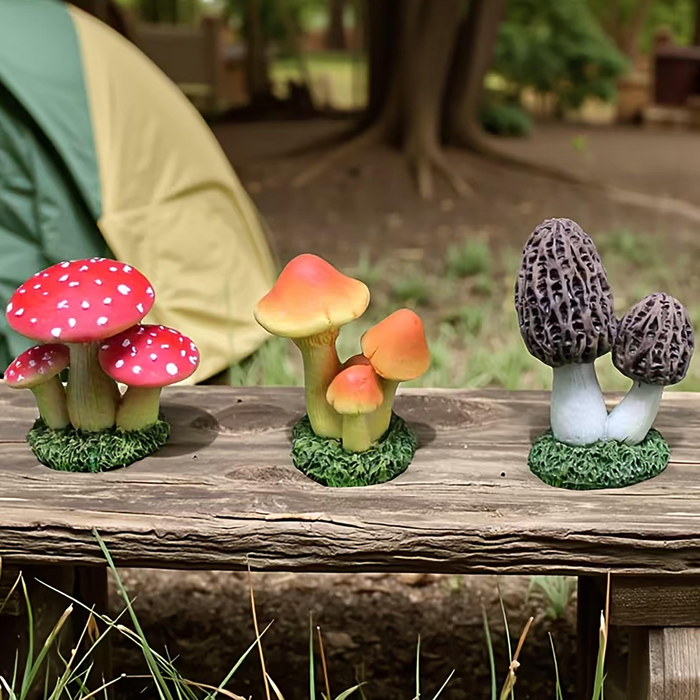 1 Set berisi 3 buah Hiasan Jam - Terrarium Moss Art ulasan dan harga