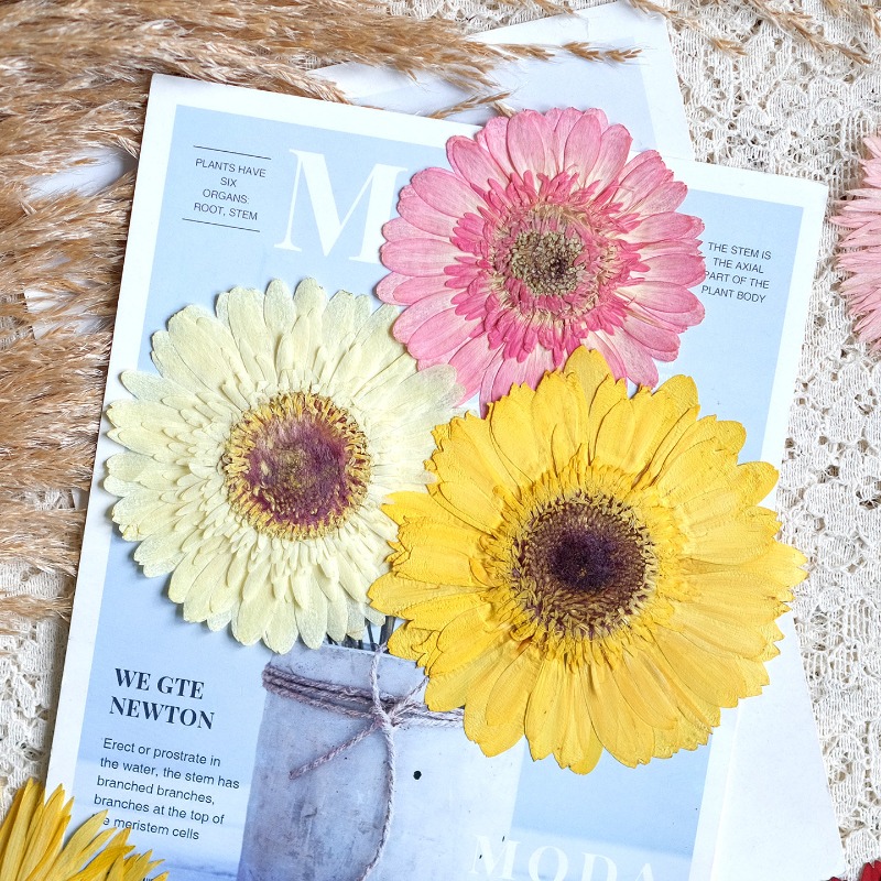 1pcs/7-9cm, Bunga Gerbera Keri - Resin Craft Ideas ulasan dan harga