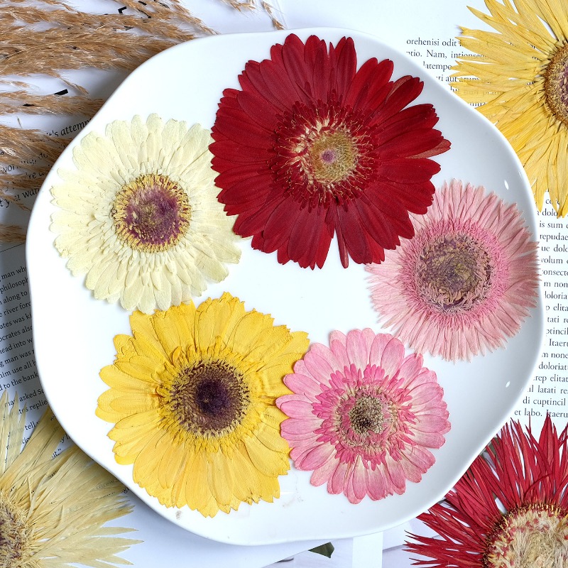 1pcs/7-9cm, Bunga Gerbera Keri - Resin Craft Ideas ulasan dan harga
